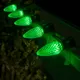 Hunter Irrigation 81875 Lighting thumbnail 3