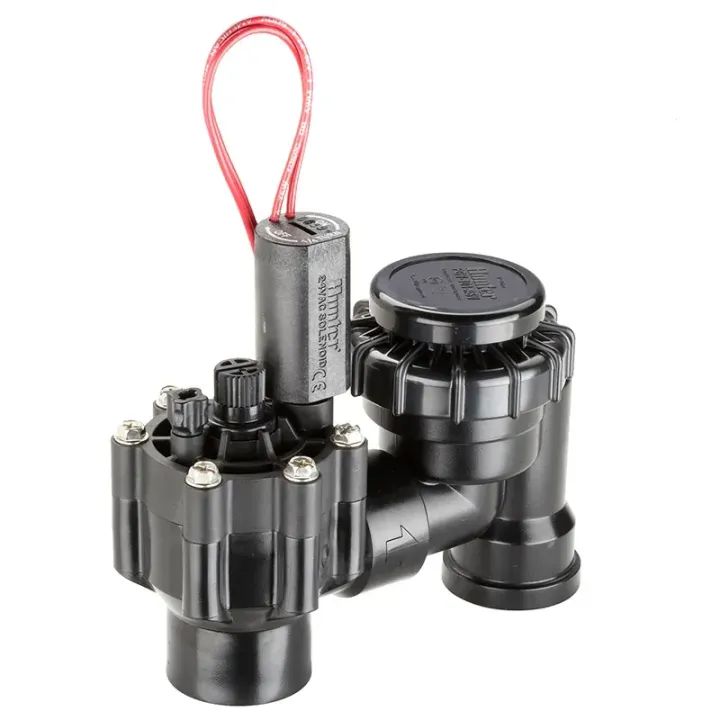 Hunter PGV 3/4 in Anti-Siphon Valve Threaded - Product Image